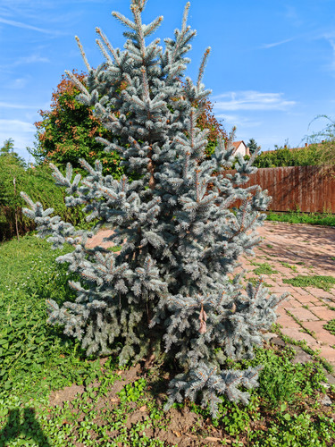 IMG 20230825 160429 (1).jpg