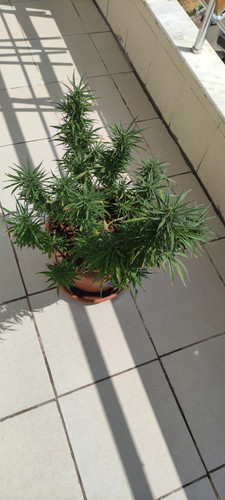 IMG 20230828 100950.jpg