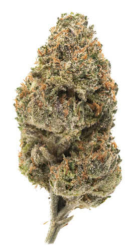 Purple Runtz Inspiration 8 31.jpg