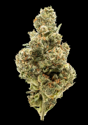 white truffles inspo PhotoRoom.png PhotoRoom.png