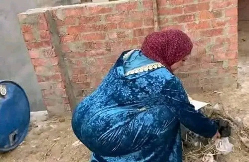 HyPjkOX.md.jpg