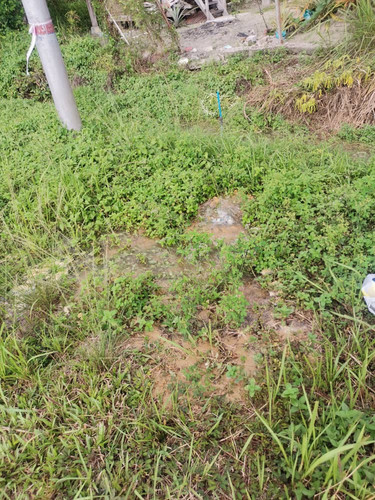 WhatsApp Image 2023 08 26 at 17.29.40.jpg