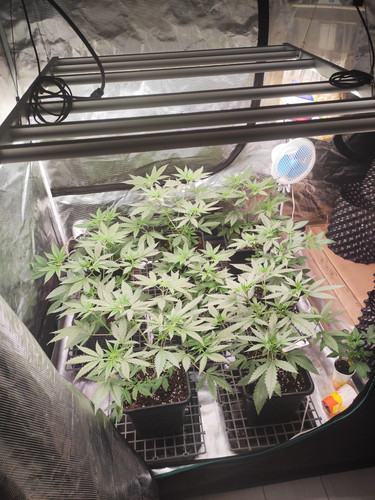 IMG 20230826 065321.jpg