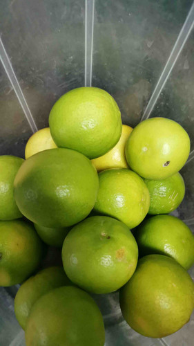 80C2396D B3C7 41D6 9671 C2900F8F6EF0.jpg