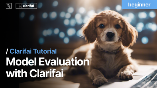 Model Evaluation Tutorial with Clarifai 2.png