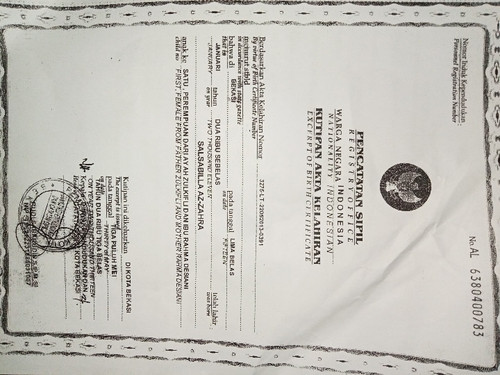 scaled 24c2c7d3 f546 41ce b208 94725eb2fe2a2839373746360592353.jpg