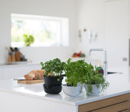 Kitchens Bendigo | GOFORTH Building Group.jpg