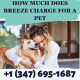 How Much Does Breeze Charge For A Pet.png