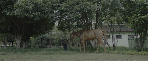 Ride.On.2023.2160p.Pad HDR.UHD.BluRay.AAC.x265 10bit HDSPad.mp4 20230902 095813.256.png