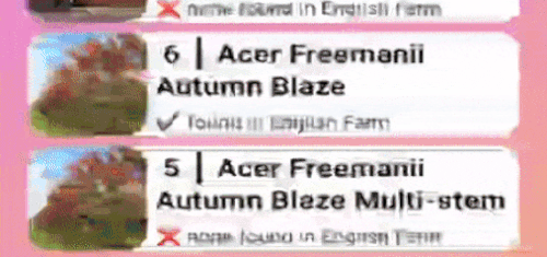 treefindergif.gif