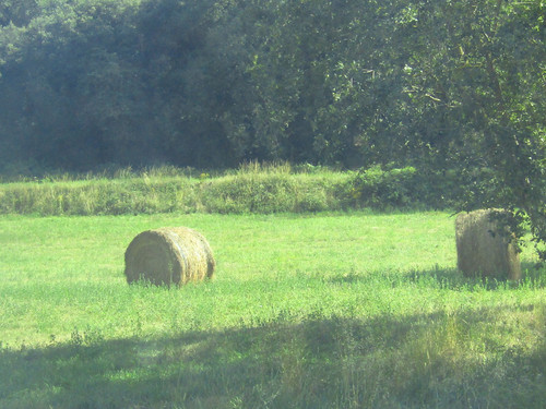 IMG 0060.jpg