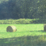 IMG 0060