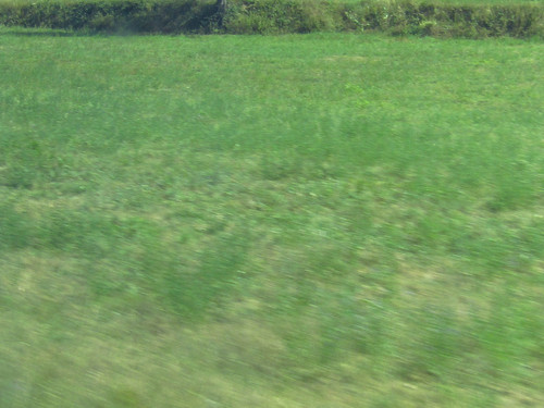 IMG 0061.jpg