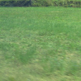IMG 0061