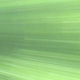 IMG 0089
