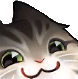 smug.png