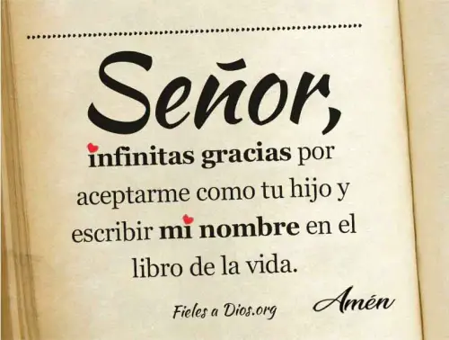 infinitas gracias aceptarme hijo escribir nombre libro vida.webp