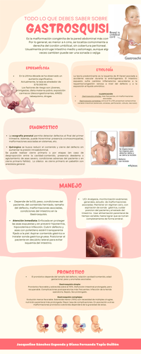 Infografía Moderna Ilustrada Endometriosis Rojo Amarillo.png