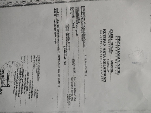 scaled 8b4745f8 860e 49f3 86f5 8fee7445e9007061439164657317675.jpg