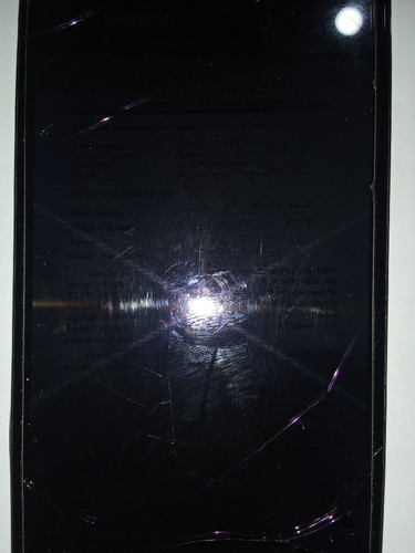 scaled 2498d1b4 fda6 4602 9878 c11c9b76d2e33387853358130331904.jpg