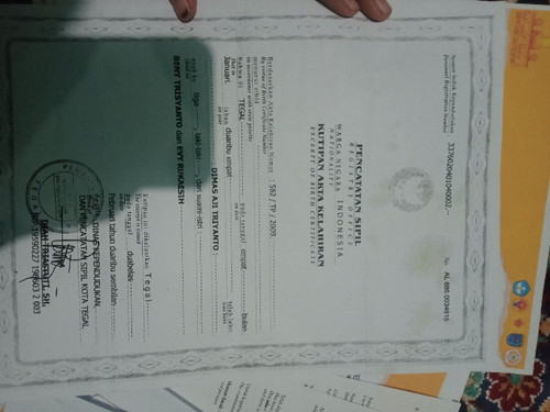 scaled 91478691 c097 44b4 a3ca 2e56599dac9a2825505785501611556.jpg