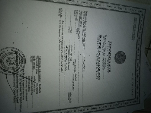 scaled 5707bd05 3fb6 4605 a4fc 5c50ef696984917811737059097771.jpg