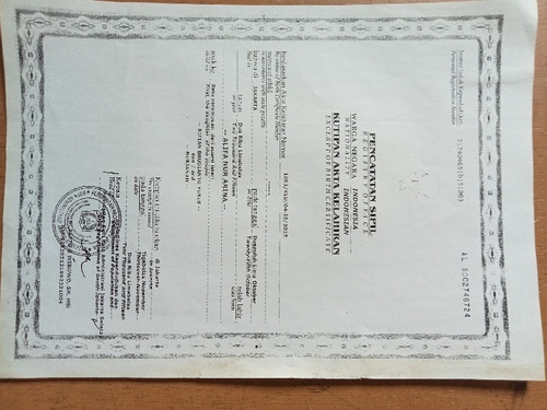 scaled 683ad915 9335 48b7 8212 c02bd15c09c25519334608033429508.jpg