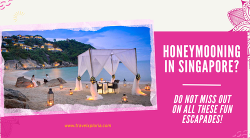 Enjoy These Fun Escapades During Your Honeymoon In Singapore!.png