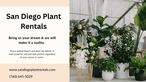 San Diego Plant Rentals 31 Aug 2023.png
