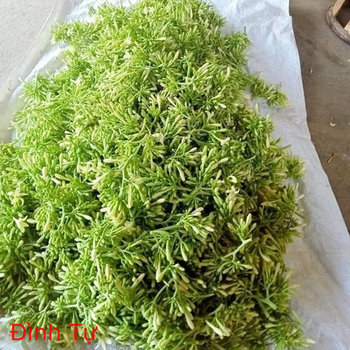 d0f630f04bb0622d80d7eeef054c29f2.png