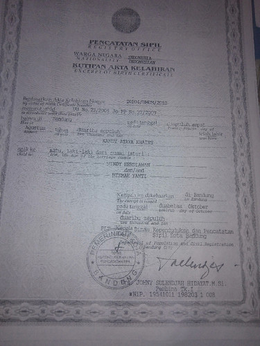 scaled a2dcea0a 396e 442e 81cf 9f9ecd456d625820921283311204600.jpg