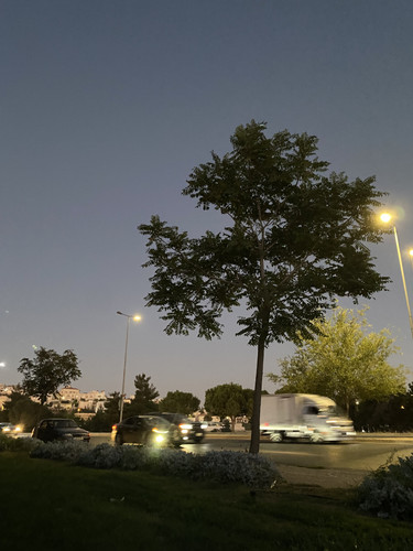 E4256809 8E7E 4B2F 92FB 8645511CD4A2.jpg