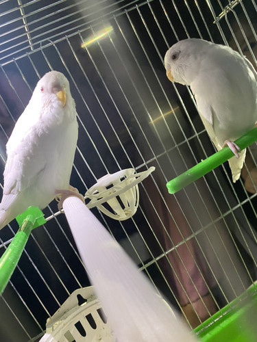 6522C6BA 14FB 4B82 A747 93AE7E66D1E0.jpg