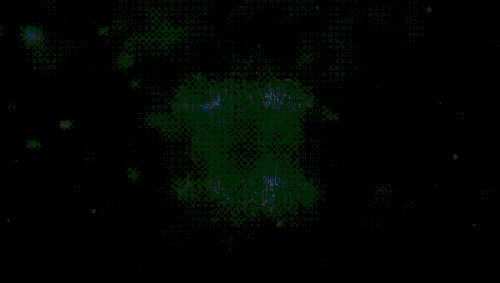 IMG 0502.gif