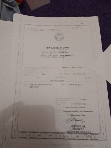 scaled 9dbe9c39 eaf0 423a 830e 549107208cc86772256643008212560.jpg