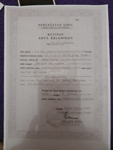 scaled df31a0fa bbed 4493 b483 3337584156a16724008345155129910.jpg