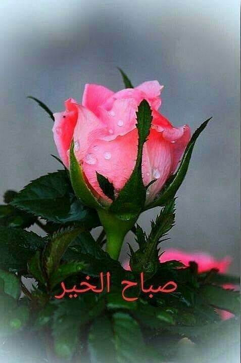 IMG 20230820 WA0000.jpg