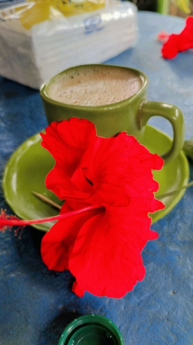 Snapchat 2010155172.jpg