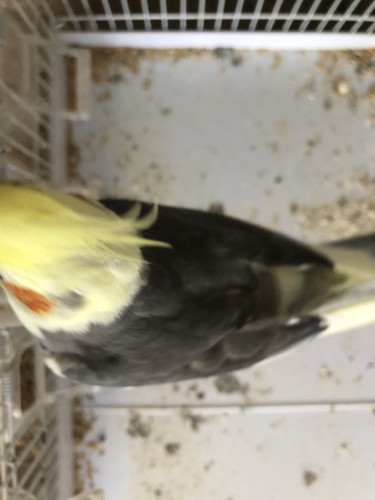 71E40E47 B10C 4E6C 804B C0F652990363.jpg