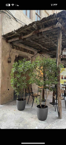 3E4AA3FD AC6B 4687 B9A6 B02BBDAE57D0.jpg