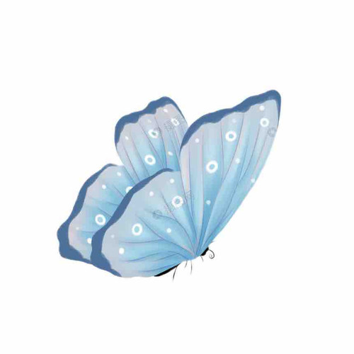 455B3FFB 1A74 4368 97A5 23568F090BE8.jpg