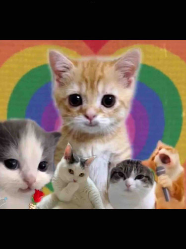 6F15FB69 6B12 40A1 B3F3 1EF6FF694508.jpg