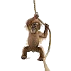 monkey100.png