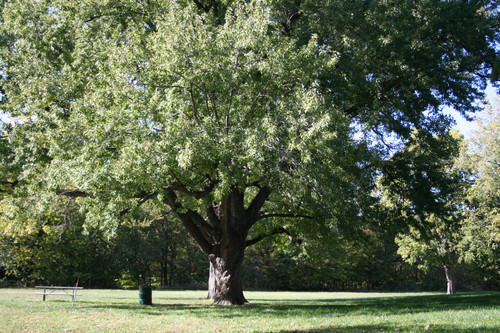 Wilderness%20Park %20Lincoln.jpg