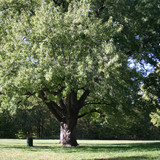 Wilderness%20Park %20Lincoln