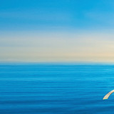 Nhung Nguyen final 2