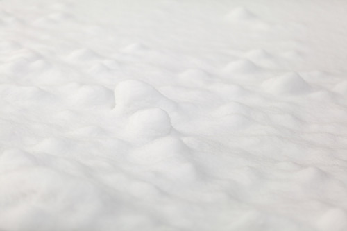 snow texture1554.jpg