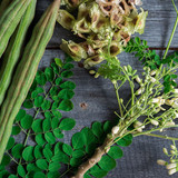 Moringa products 