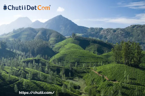 Chutii Dot Com: Best Rated Sikkim Tour Provider in Kolkata, India.jpg