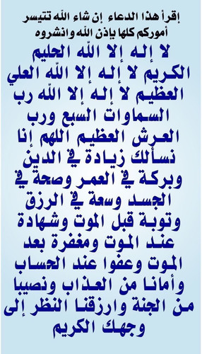 images%2Fimage 1706956926689.jpg